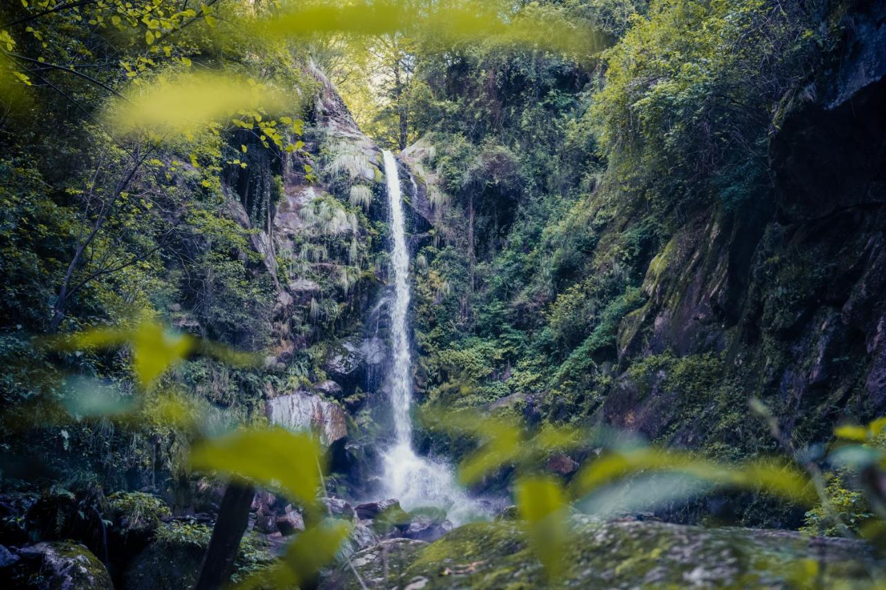 The Hosteller Shangarh, Sainj Valley エクステリア 写真